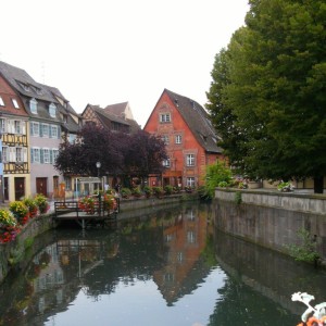 COLMAR