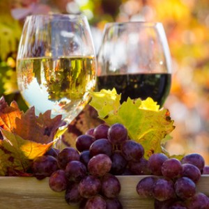 Genuss in der Pfalz: Weinprobe im Herbst :)